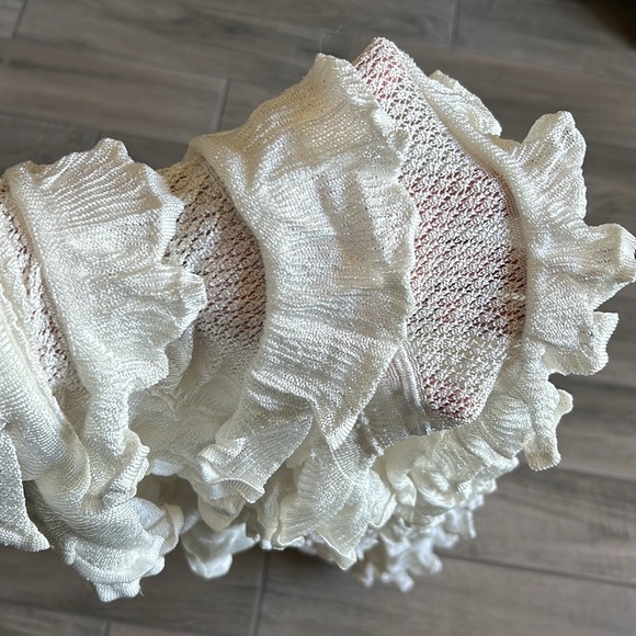 Zimmermann sheer ruffle maxi dress - Picture 6 of 6